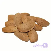 بادام شیرین درختی