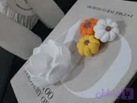 شیپ عکاسی مدل آلاله
