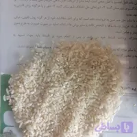 برنج لاشه طارم هاشمی 5 کیلویی