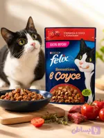پوچ فلیکس گربه با طعم گوشت گاو و سس گوجه 75g