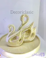 قو جفتی در دو مدل