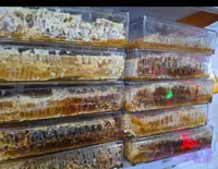 عسل با موم خودبافته