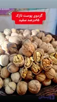 گردو بومی