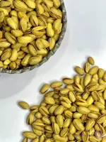 پسته اکبری انس 22