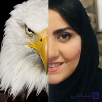 دوره جامع فرکانسه جهت بهبود فردی با تحول ذهن و احساسات