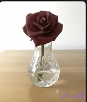 گل شاخه ای