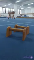 چوب بالانس؛هنداستند