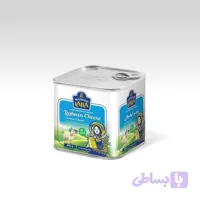پنیر سنتی گوسفندی پنیر لیقوان 400گرمی
