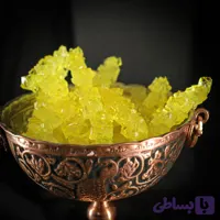 شاخه نبات