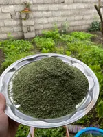 نعنا خشک