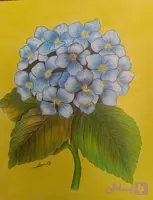محصولات نگارستان نرگس