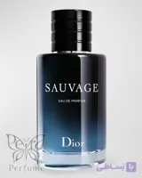 عطر ادکلن دیور ساواج-ساوج-ساواژ | Dior Sauvage