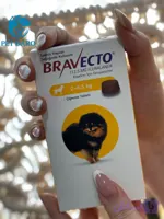 قرص ضد کک و کنه سگ نژاد مینیاتوری (4.5_ 2 KG) براوکتو ترکیه Bravecto Flea and Tick Chew Dogs Turkey (2 _4.5kg)
