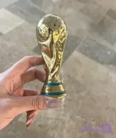 جام قهرمانی ریز