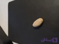 خر مهره اصل مغولی