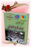 دانلود نمونه سؤالات فنی‌وحرفه‌ای قارچ دکمه‌ای | راه میان‌بر موفقیت در آزمون