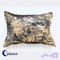 روبالشتی طرح دار کرم طلایی مدل جدید + جفتی