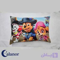 روبالشتی با طرح سگ های نگهبان