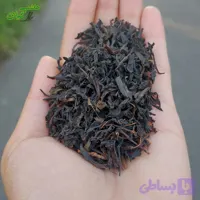 چای قلم ممتاز فومن