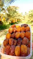 رطب عسلی ۹۰۰گرمی