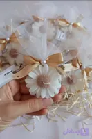 شمع مارگاریت (بابونه)