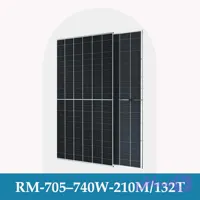 پنل خورشیدی 740 وات مونو کریستال N-Topcon Bifacial