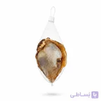 تشویقی سگ کشکک زانو شتر