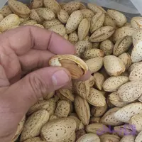 بادام پوست نازک ممتاز خشکبار ال سون مراغه 1000 گرم