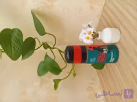 مام رول