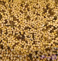 نخود و کشمش دوآتیشه ساده