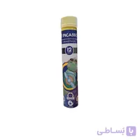 مدادرنگی 12رنگ استوانه ای پيكاسو