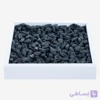مویز شاهانی