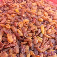 کشمش آفتابی درجه 1 عنابی و درشت