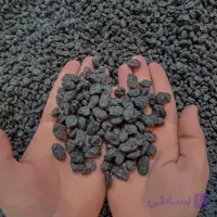 مویز ترکمن (بیدانه) یک کیلویی