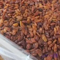 کشمش درجه یک با کیفیت بالا ۵ کیلویی