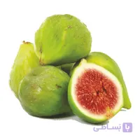 نهال انجیر سبز یک ساله