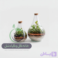 تراریوم مدل طاووسی سل تراریوم