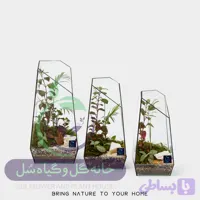 تراریوم مدل رویال سل تراریوم