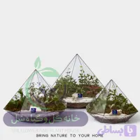 تراریوم مدل الماسی سل تراریوم