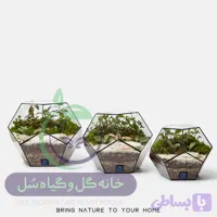 تراریوم مدل توپک سل تراریوم