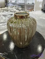 گلدان اروین رنگی