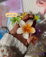 کلیپس پلومریا سایز متوسط