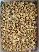 انجیر گنجشکی (کارتن 8 کیلویی)