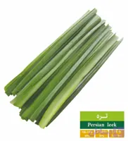 بذر تره رویان