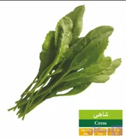 بذر شاهی رویان