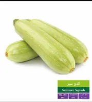 بذر کدو سبز رویان