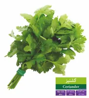 بذر گیشنیز رویان