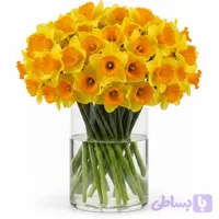 پیاز گل نرگس هلندی کاسه نارنجی بسته 10 عددی