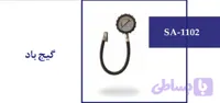 گیج باد