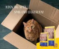 Josera DailyCat | غذای خشک دیلی کت جوسرا - اورجینال + با ضمانت اصالت